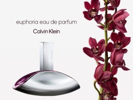 Calvin Klein Euphoria Edp 100ml