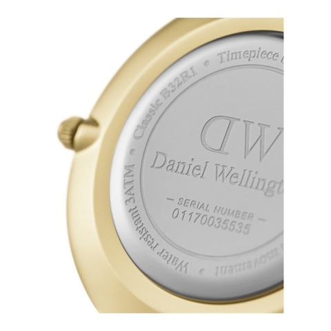 ZEGAREK DAMSKI DANIEL WELLINGTON DW00100347 - PETITE EVERGOLD 32mm (zw500e)